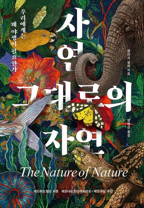 자연 그대로의 자연