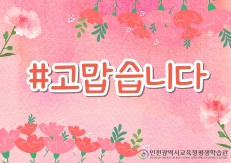 5월 북큐레이션 #고맙습니다