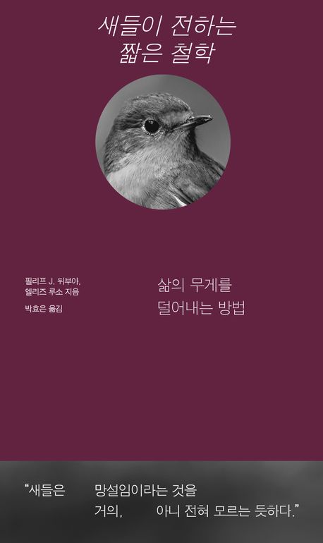 새들이 전하는 짧은 철학