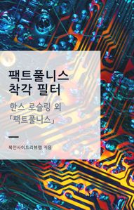 팩트풀니스 착각 필터