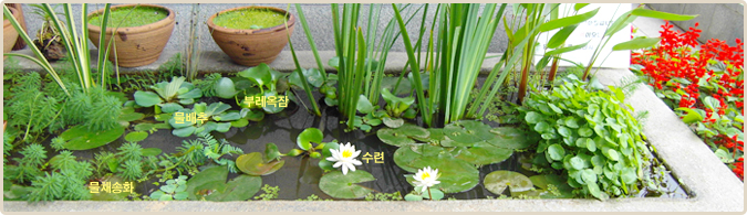 주안도서관 생태학습장 사진